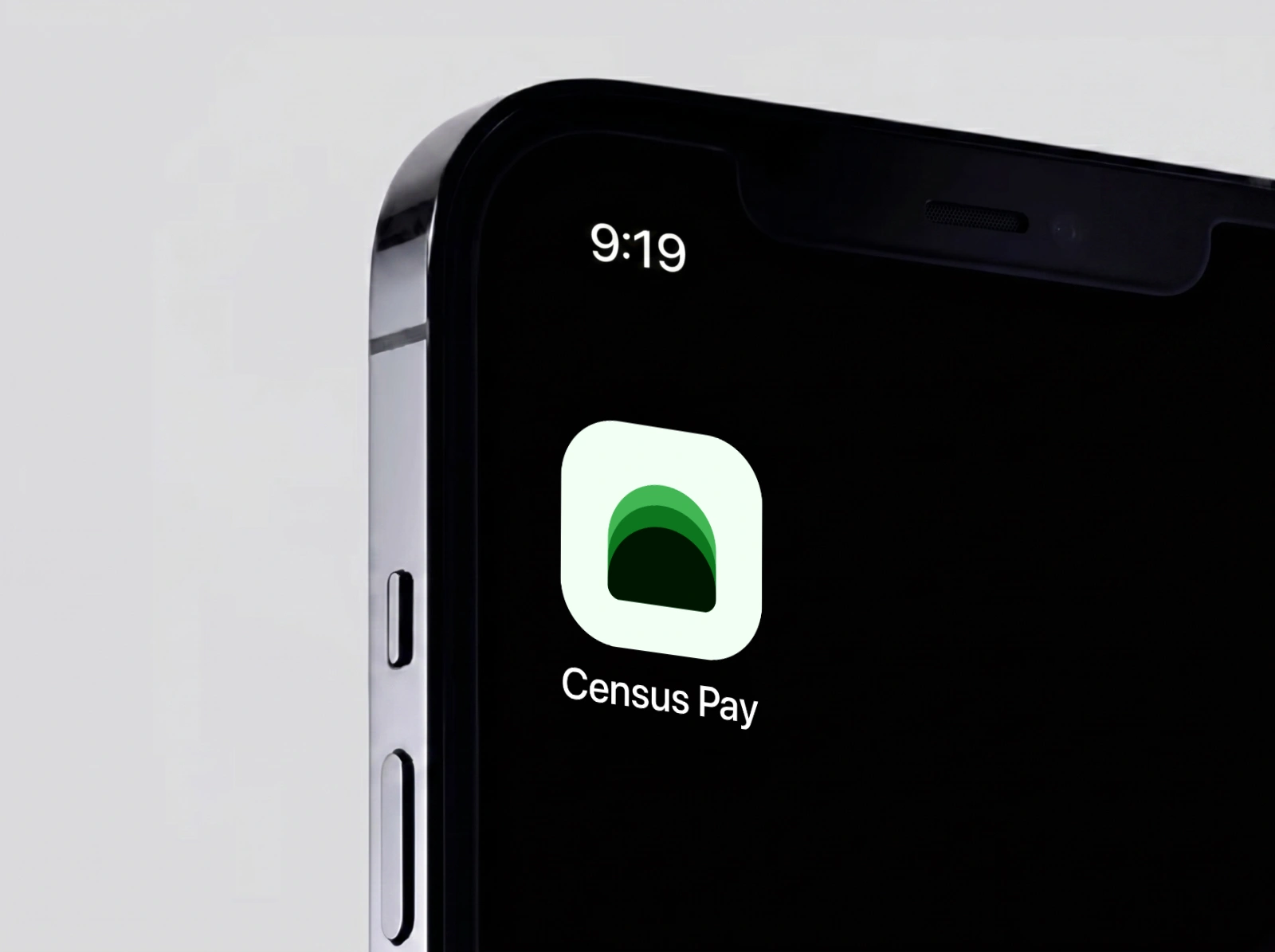 Census Pay app icon — a green arch mark — on an iPhone home screen, with the Census Pay label below it